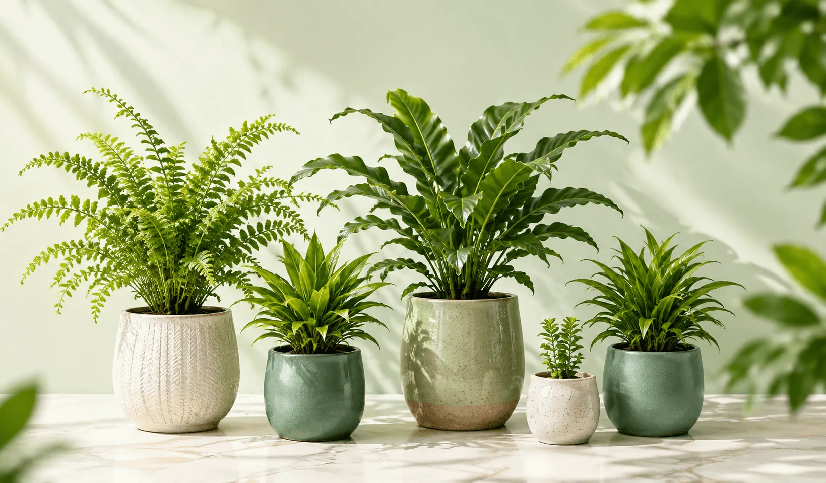 Grow Green Planters planters for bulk supply
