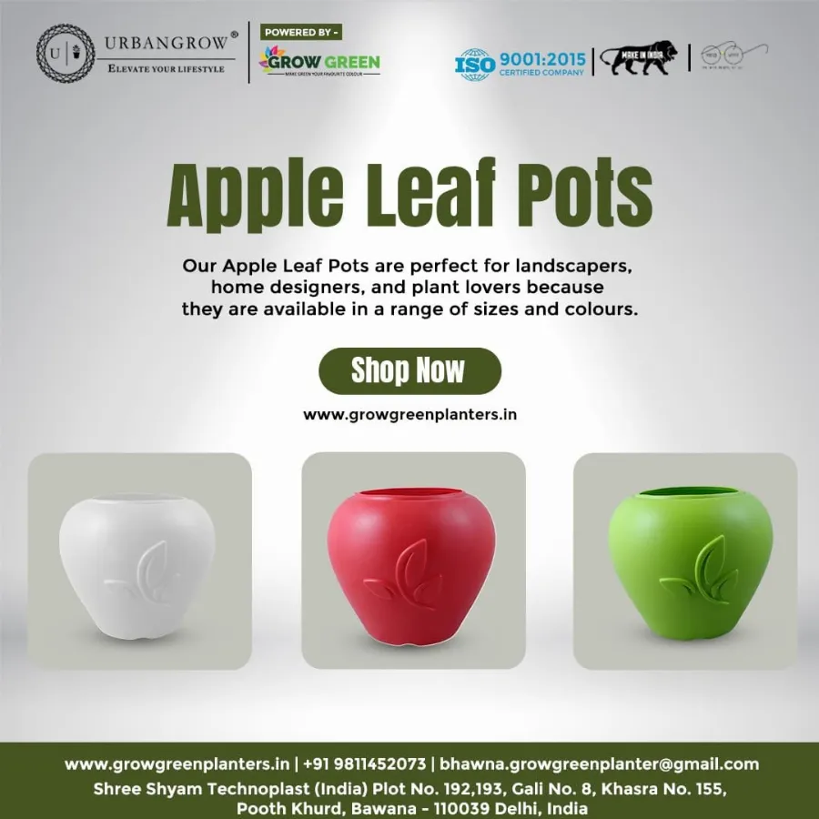 Apple Leaf Pots view 9