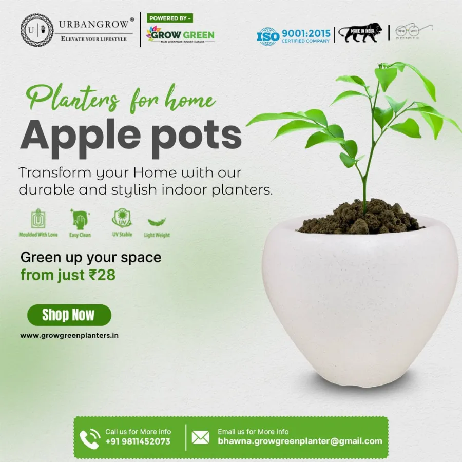 Apple Pots view 7