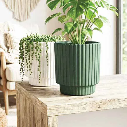 Boston Pots