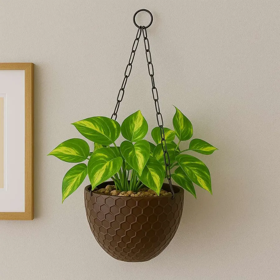 Cerana Basket view 7