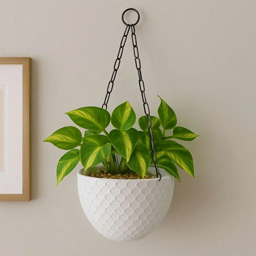 Cerana Basket view 6