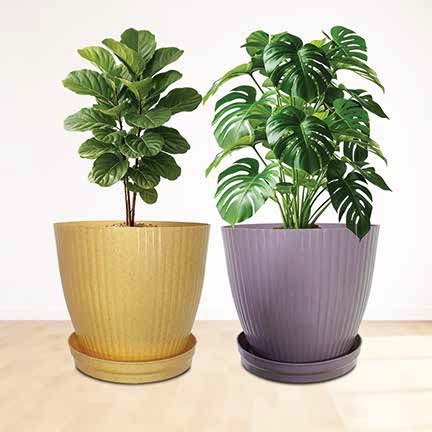 Classic Pots