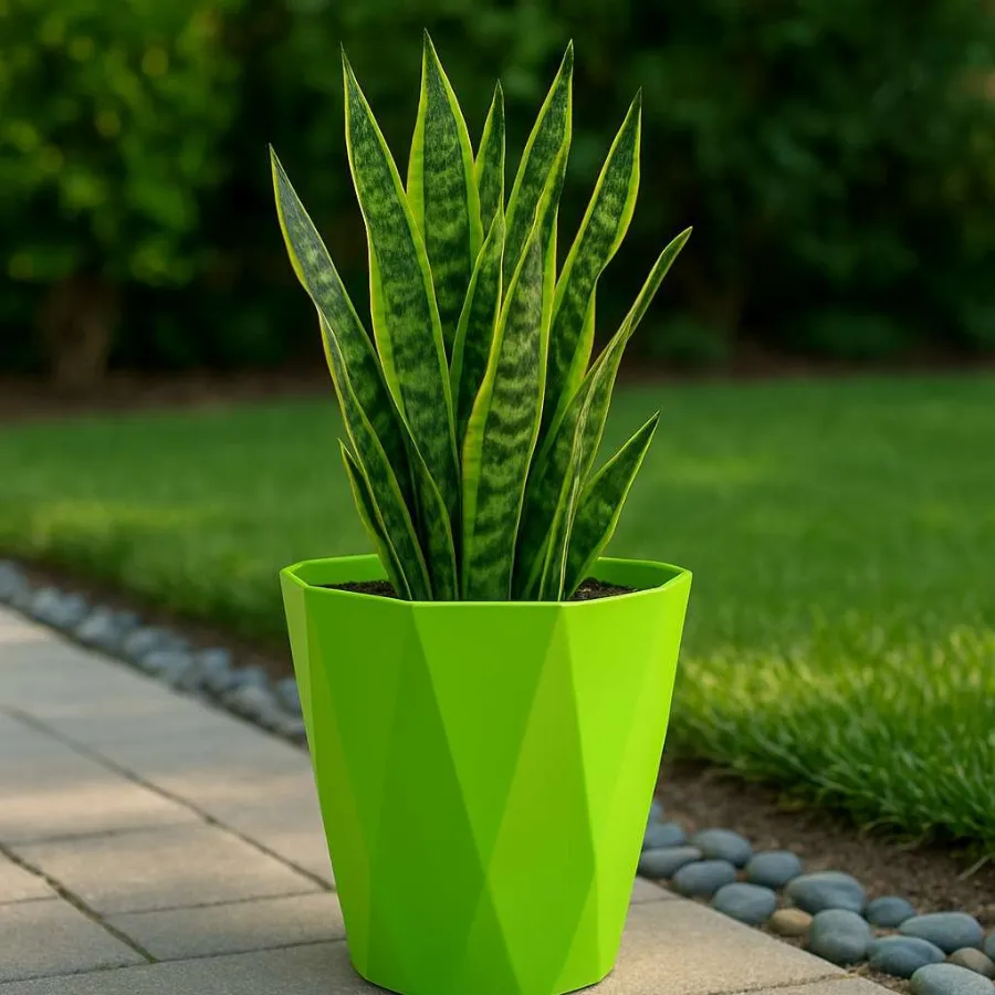 Dyna Pots view 8