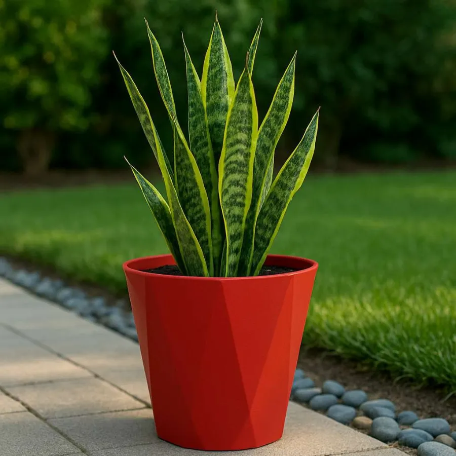 Dyna Pots view 9