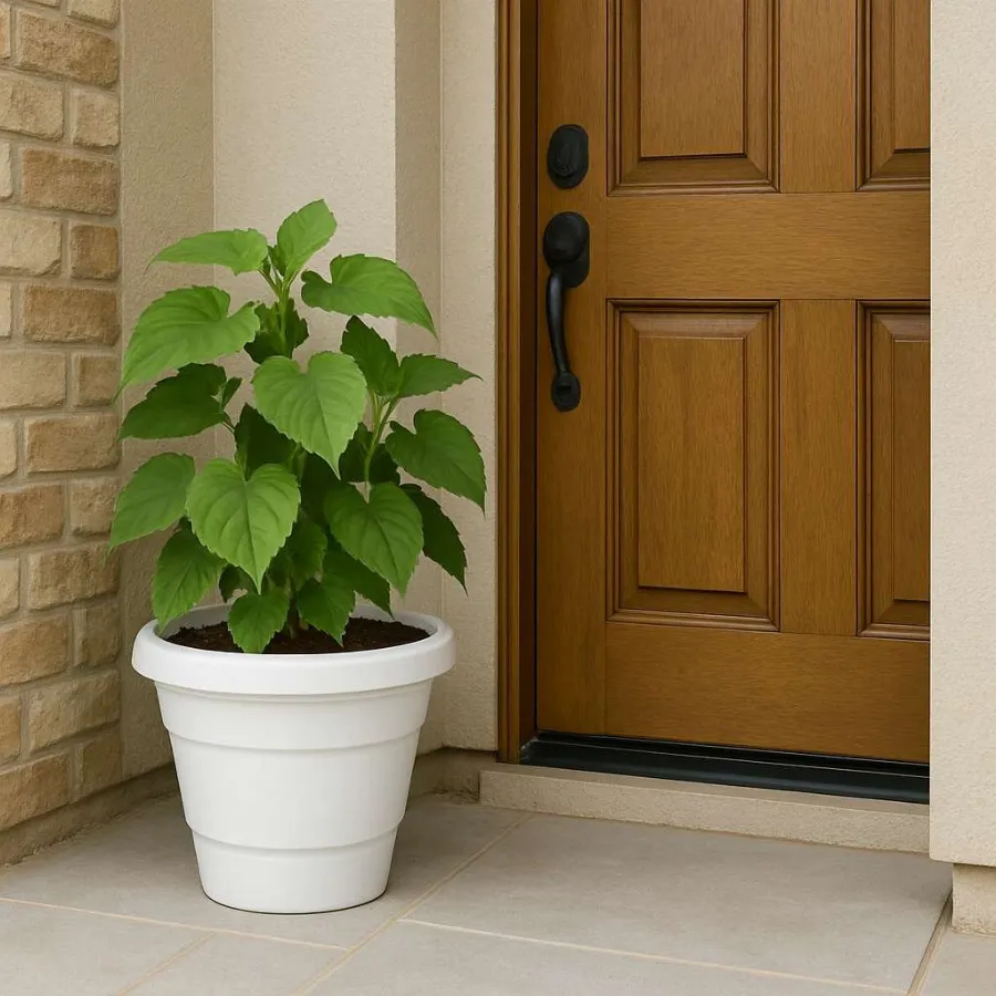 Eco Pots (Fresh) view 9