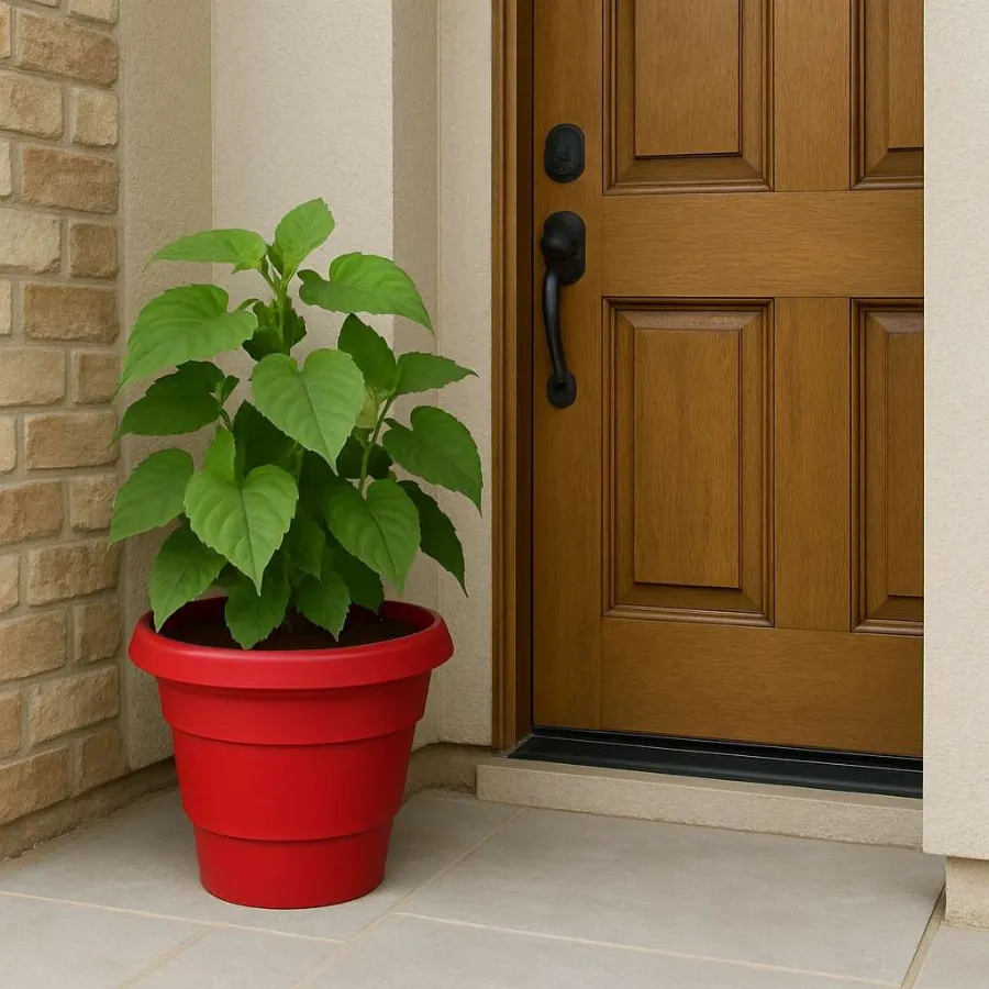 Eco Pots (Fresh) view 8