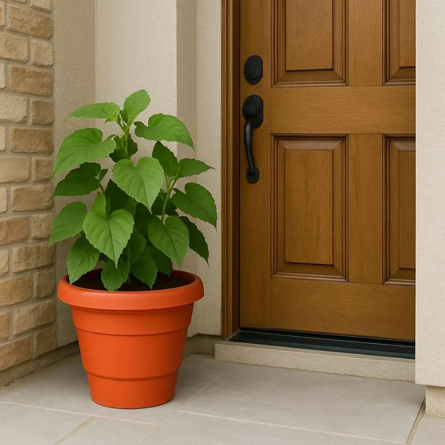 Eco Pots (Fresh) view 7