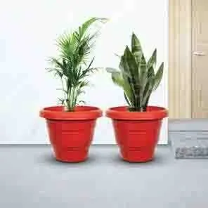 Eco Pots (Special) view 2