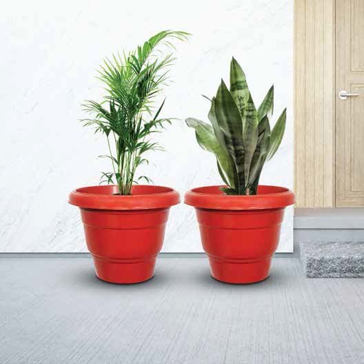 Eco Pots (Special)