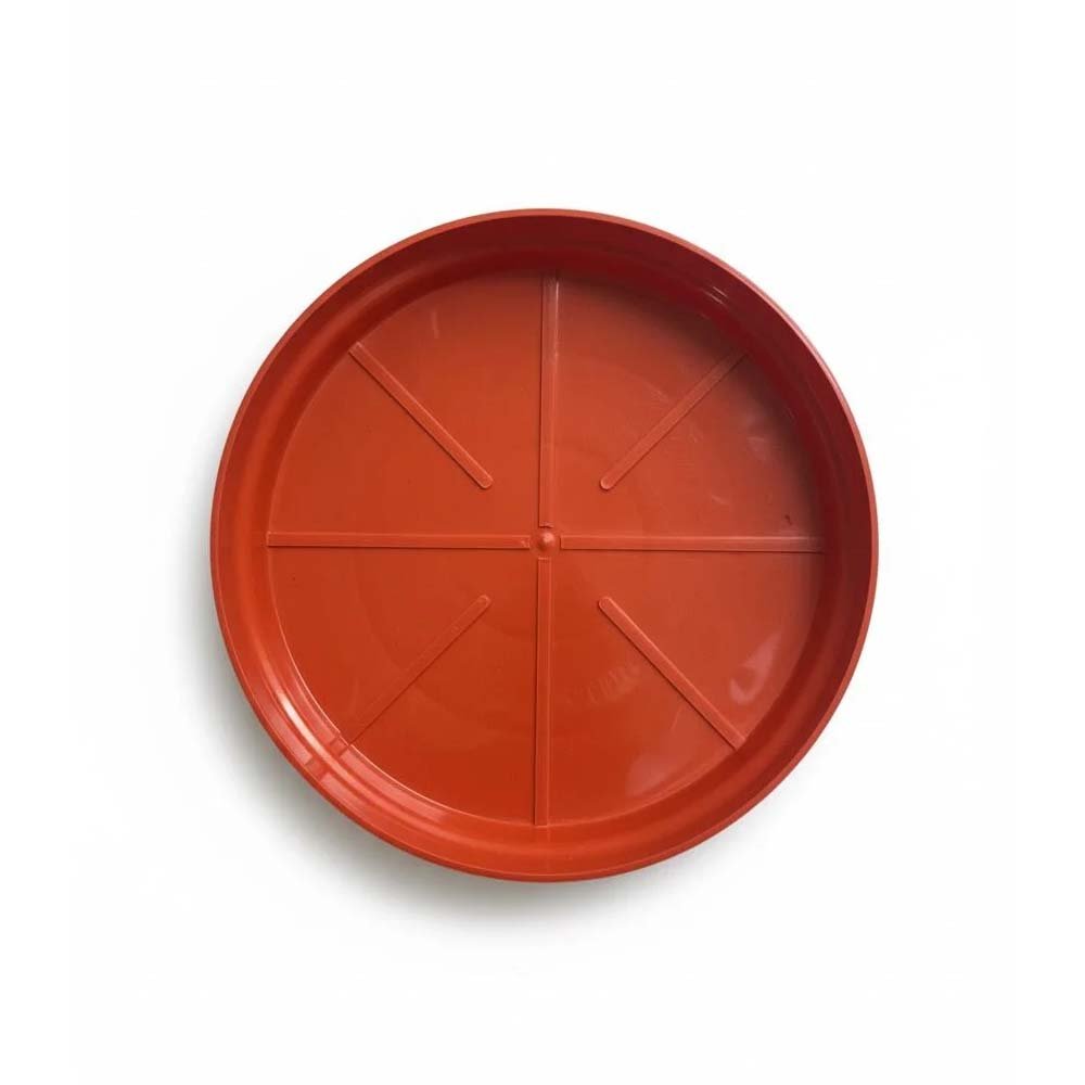 Eco Round Plate view 2