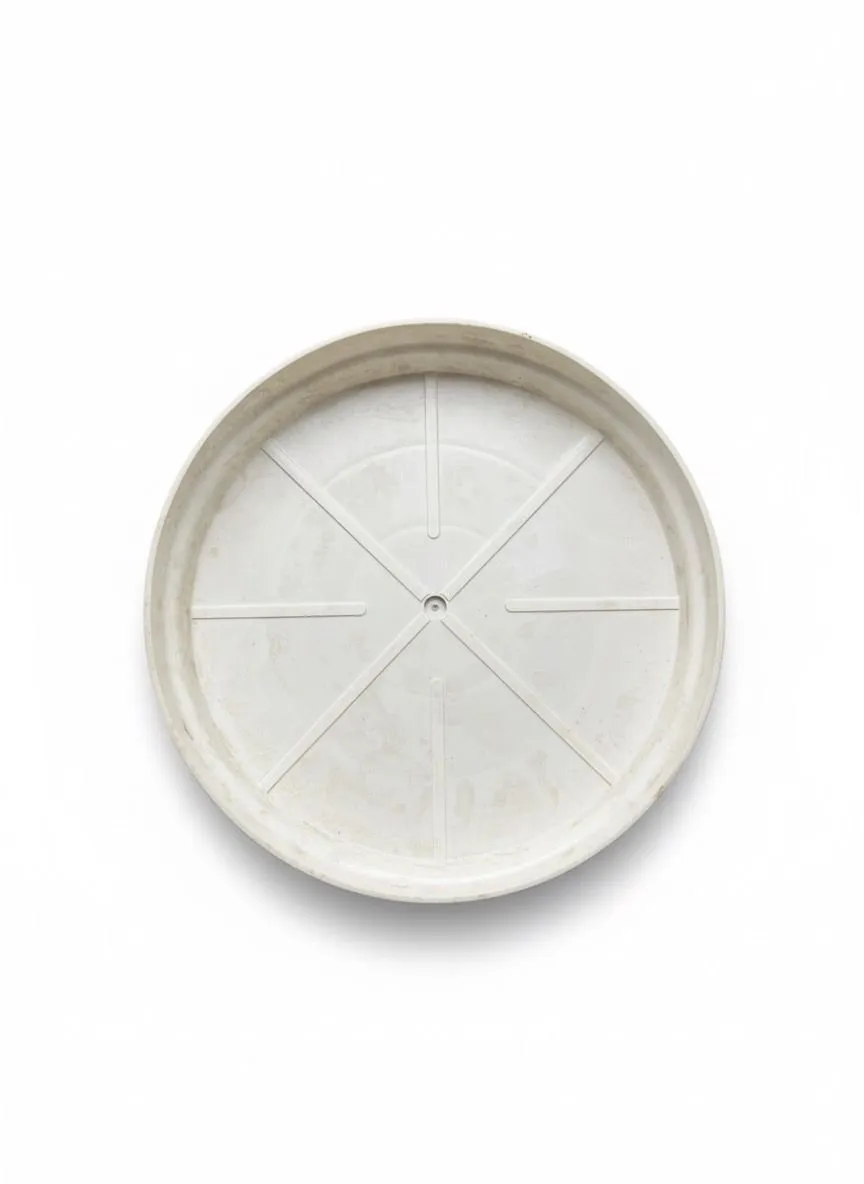 Eco Round Plate view 5