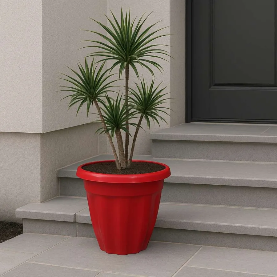 Jasmine Pots view 8