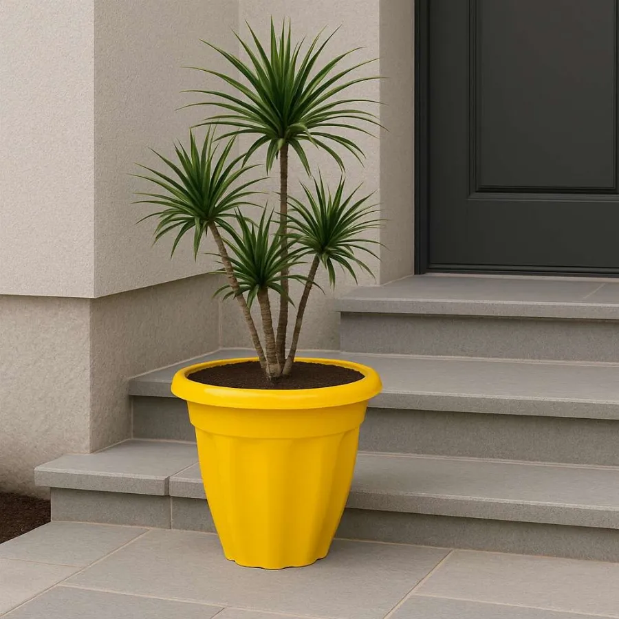 Jasmine Pots view 7