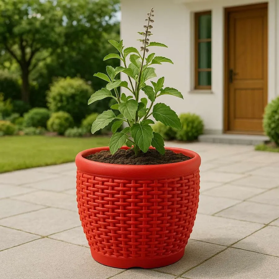 Matt Classic Pots view 9