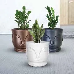 Miracle Pots view 5