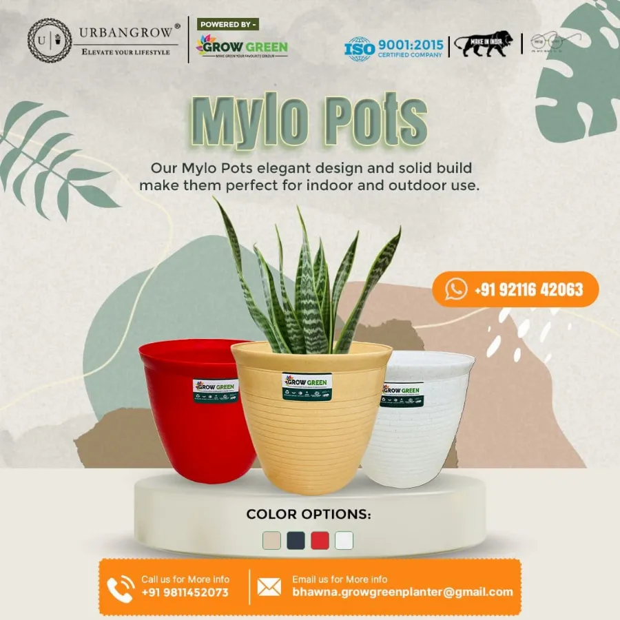 Mylo Pots view 9