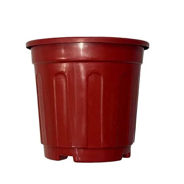 Nursery Pots (Super) view 4