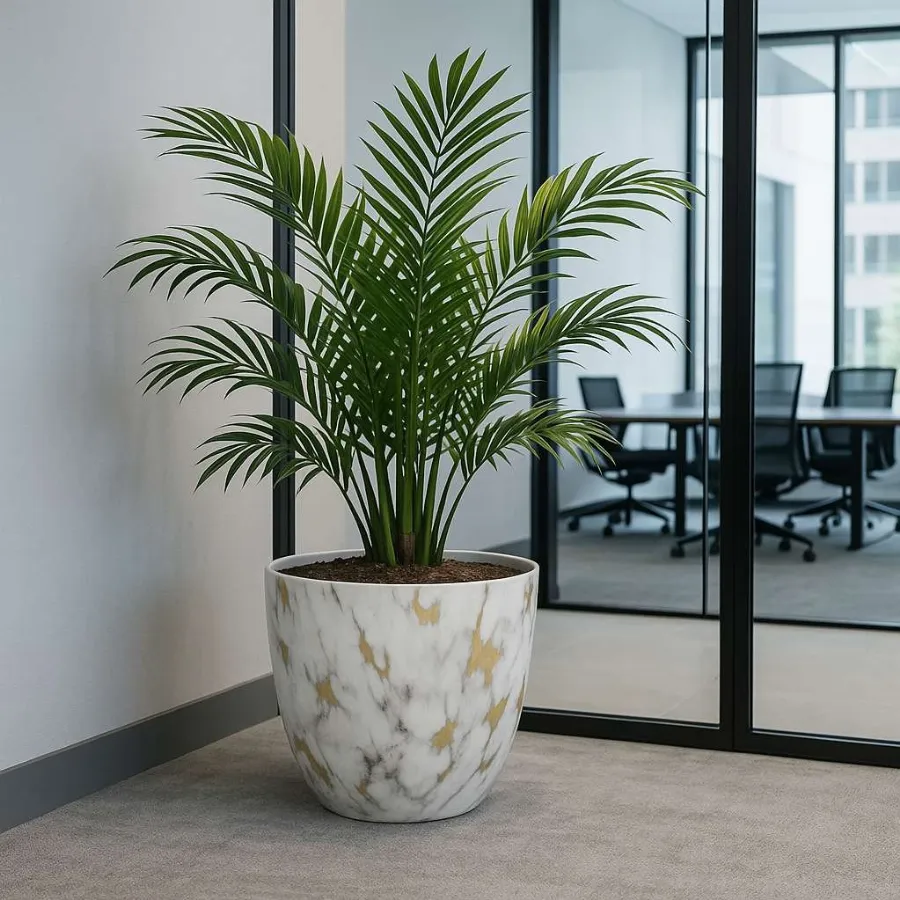 Orchid Designer Pot view 5