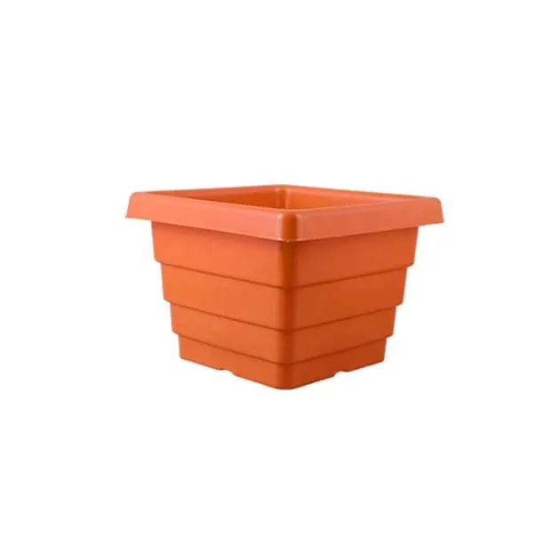 Orchid Square Pots