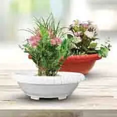 Oval Bonsai Pots view 4