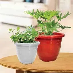 Petu Pots view 6