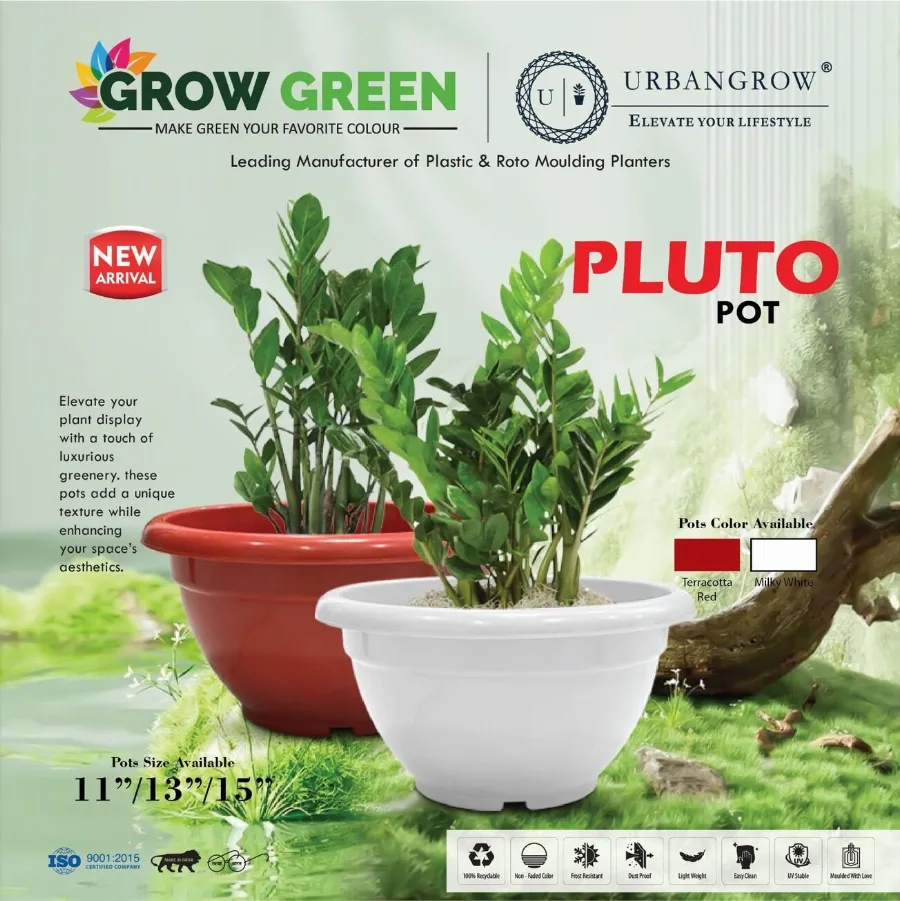 Pluto Pots view 4