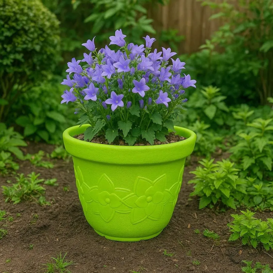 Sunflower Pots view 8