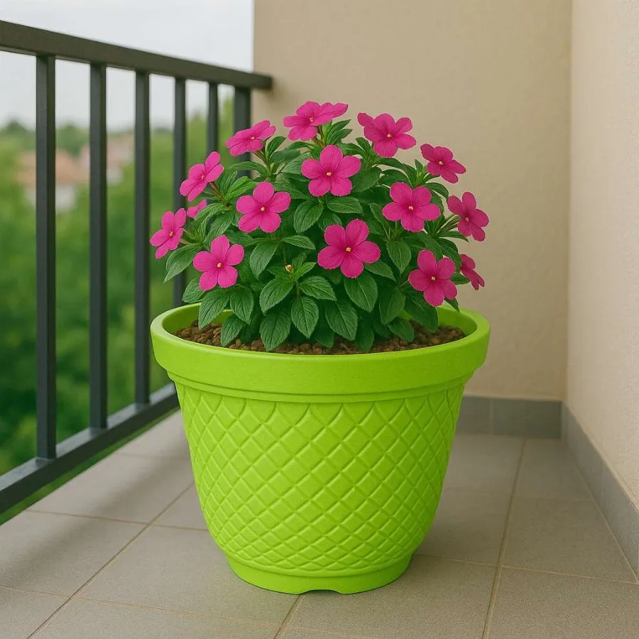 Velvet Pots view 9