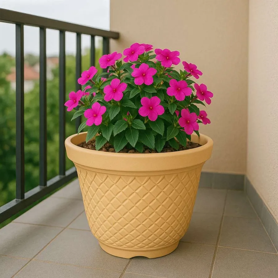 Velvet Pots view 7