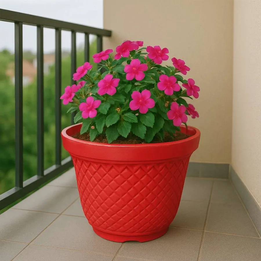 Velvet Pots view 8