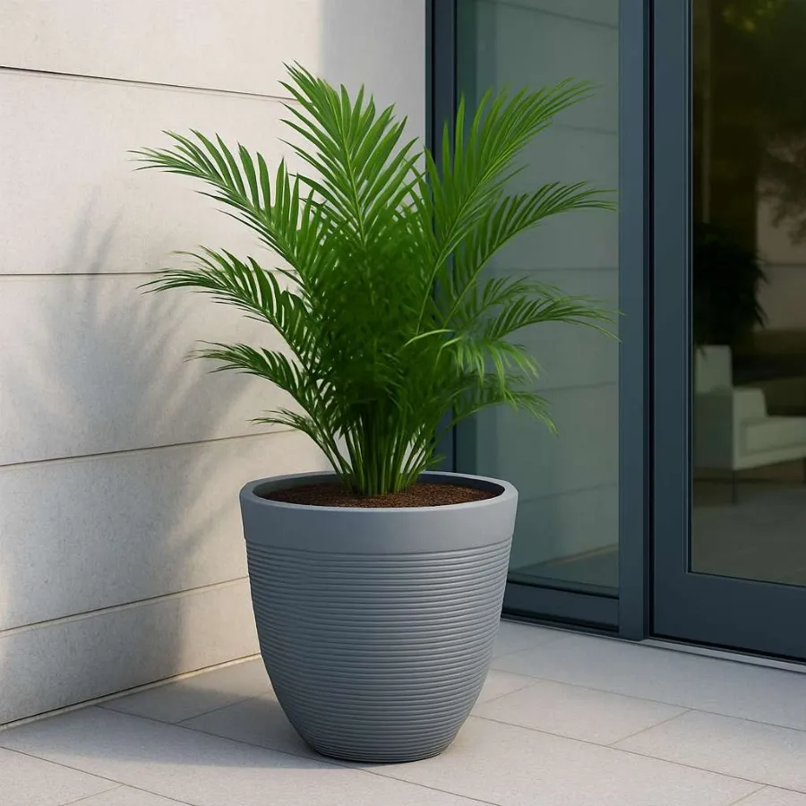 Victor Pots view 7