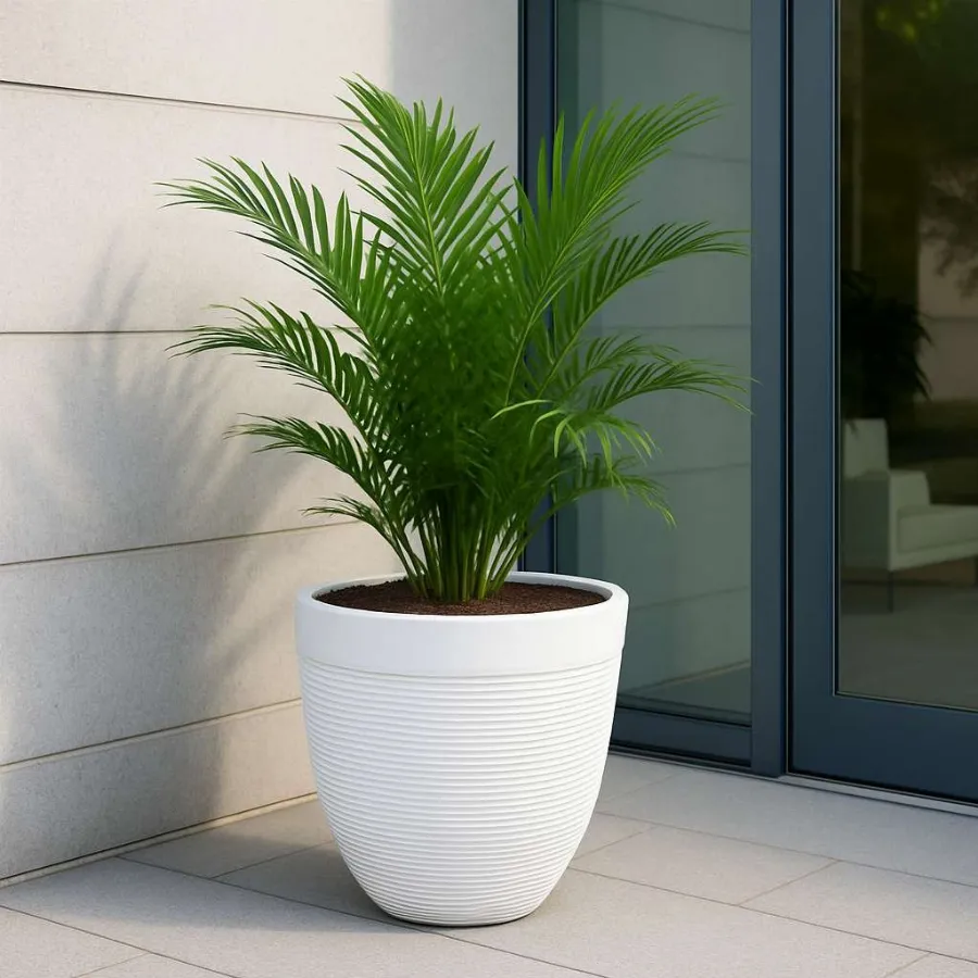 Victor Pots view 6