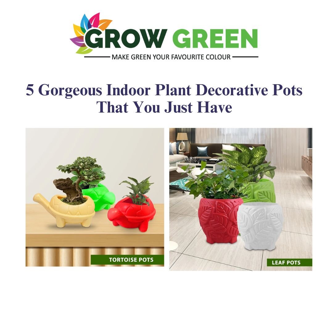Decorative Indoor Plants Pots